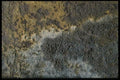 137058 Beige, Yellow And Grey Texture A4 Photo Print