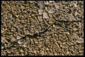 137061 Concrete A4 Photo Print