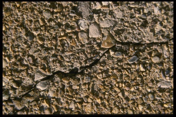 137061 Concrete A4 Photo Print