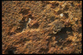 137062 Rusty Color Rock A4 Photo Print