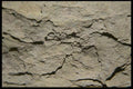 137065 Flagstone A4 Photo Print