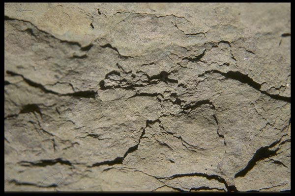 137065 Flagstone A4 Photo Print