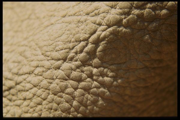 137068 White Leather A4 Photo Print