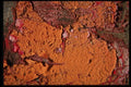 137071 Red Yellow Rusty Texture A4 Photo Print