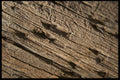 137073 Wood Grain A4 Photo Print