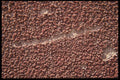137076 Brick A4 Photo Print