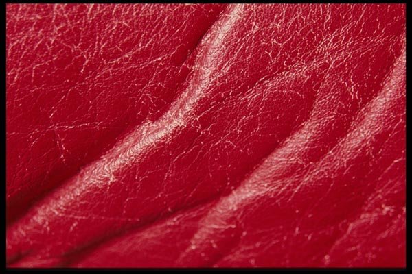 137080 Red Leather A4 Photo Print