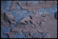 137081 Blue With Peeling Brown A4 Photo Print
