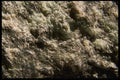 137083 Coarse Texture A4 Photo Print