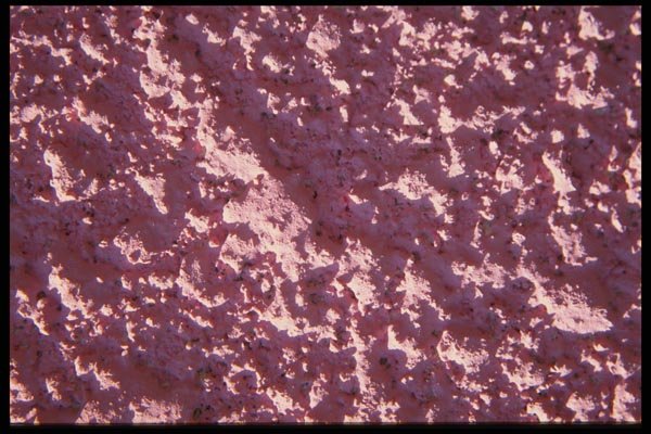137085 Pink Wall A4 Photo Print