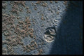 137087 Blue Texture (Metal) A4 Photo Print