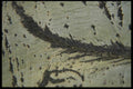 137094 White With Black Texture A4 Photo Print