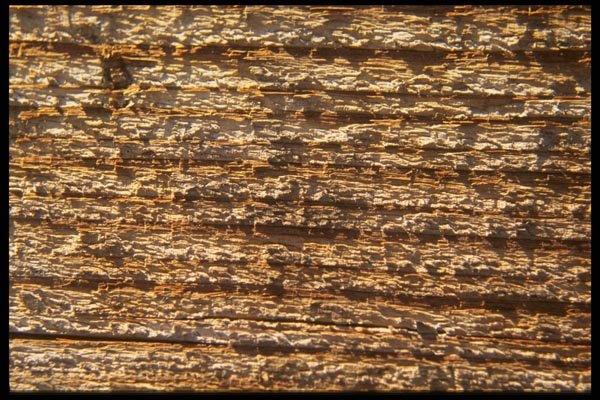 137095 Brown Rough Texture A4 Photo Print