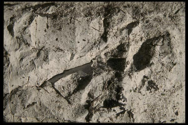 137096 Rough Grey Texture A4 Photo Print