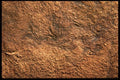 137097 Bark Paper A4 Photo Print