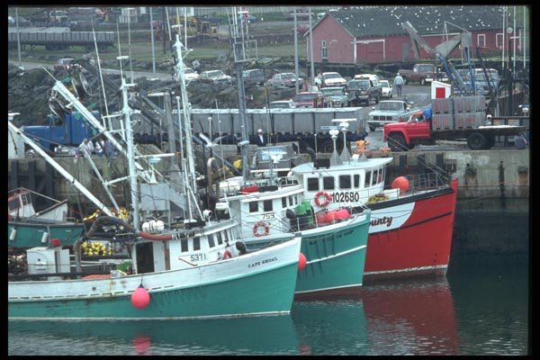 138004 Three Idle Boats On The Dock A4 Photo Print