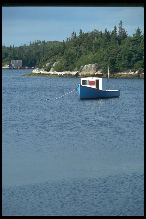 138014 Moored In The Bay A4 Photo Print
