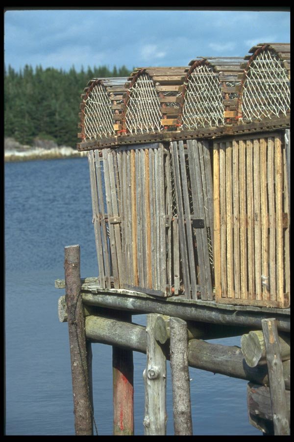 138017 Repaired Lobster Traps A4 Photo Print