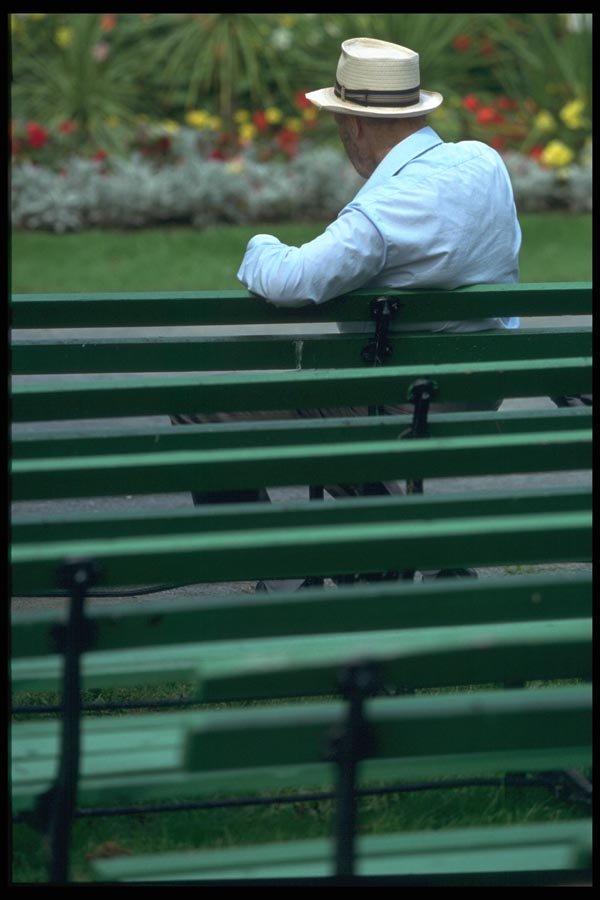 138021 Time To Reflect In The Park A4 Photo Print