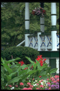 138023 Flowers And Woodwork A4 Photo Print