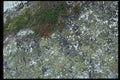 138034 Living Rocks A4 Photo Print