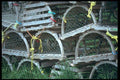 138036 Piled Lobster Traps A4 Photo Print