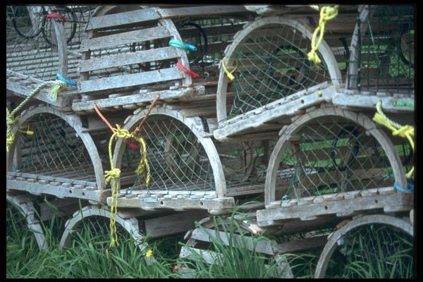 138036 Piled Lobster Traps A4 Photo Print