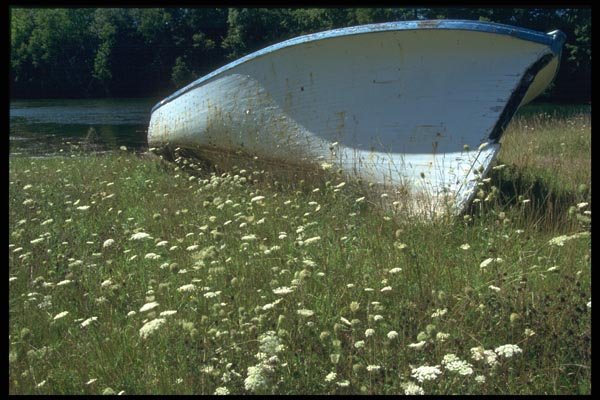 138055 Boat Of Grass A4 Photo Print
