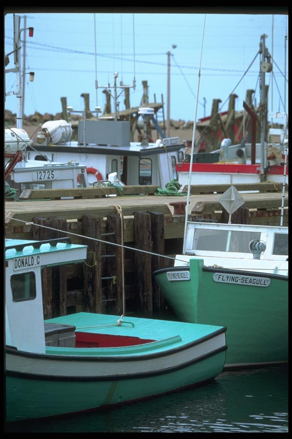 138063 Green Boats And Docks A4 Photo Print