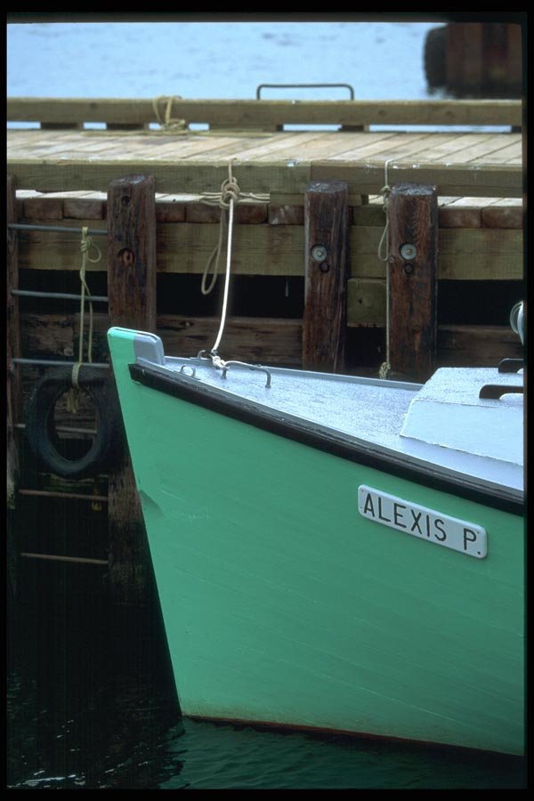 138065 Green Bows A4 Photo Print