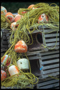138074 Ropes, Traps And Buoys A4 Photo Print