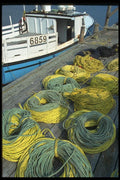 138080 Fishing Lines In The Sun A4 Photo Print