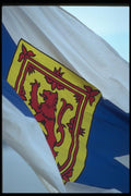 138090 Flag Detail A4 Photo Print