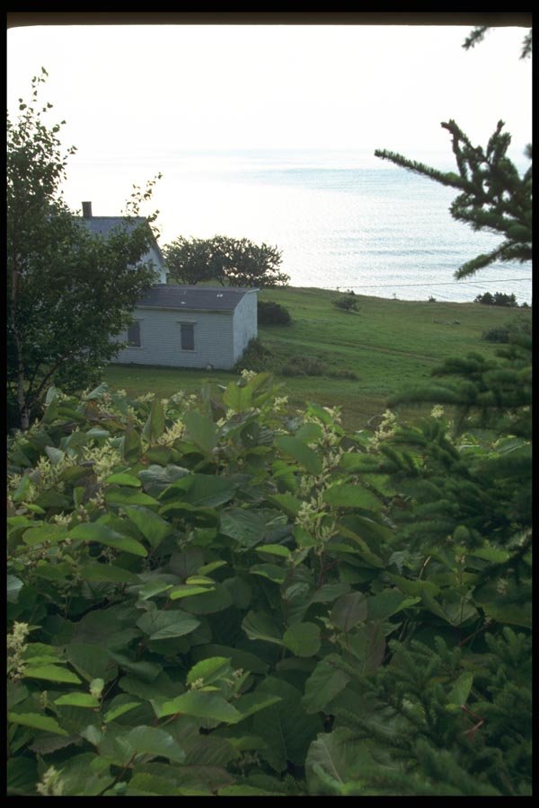 138097 Coastal Home A4 Photo Print
