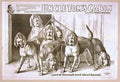 1382u Vintage Advert A4 Photo Print