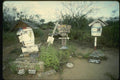 139012 Ancient Whalers Mailbox, Floreana Island A4 Photo Print