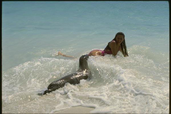 139017 Woman With Young Sea Lion A4 Photo Print