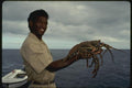 139021 Fresh Lobster A4 Photo Print