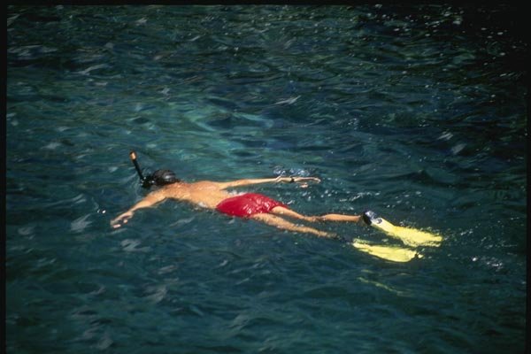 139040 Snorkelling In Lava Pools A4 Photo Print