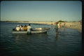 139047 Tour Coming Ashore James Island A4 Photo Print