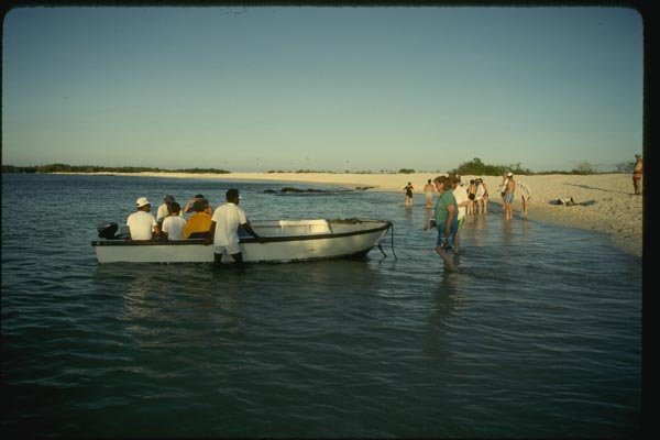 139047 Tour Coming Ashore James Island A4 Photo Print