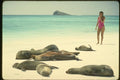 139065 Woman And Sea Lions, James Island A4 Photo Print