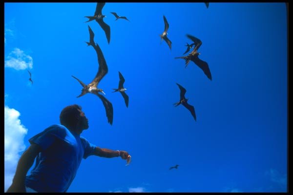 139080 Man With Birds A4 Photo Print