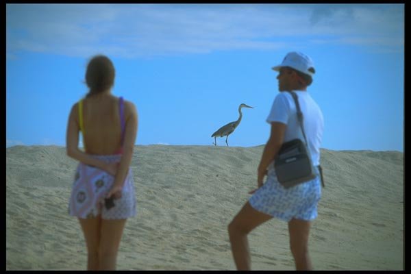 139092 Tourists On Beach A4 Photo Print