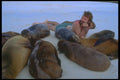 139093 Man On Beach With Sea Lions A4 Photo Print