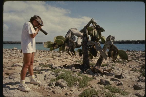 139096 Photographer On Plaza Island A4 Photo Print