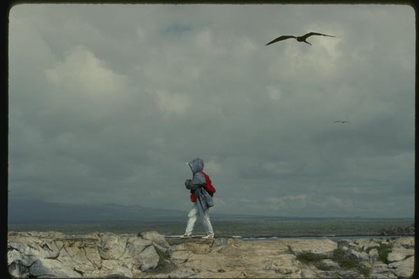 139097 Photographer On Plaza Island A4 Photo Print