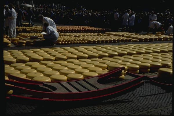 140022 Checking The Quality Of The Cheese A4 Photo Print