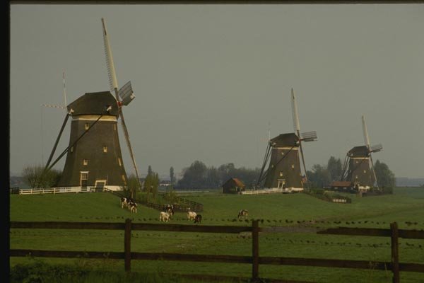 140043 The Three Mills A4 Photo Print
