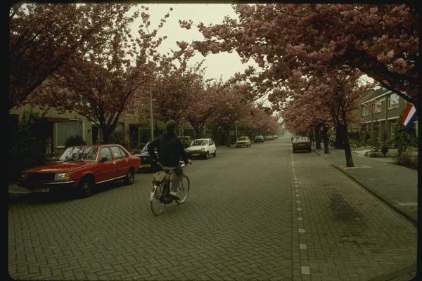140051 Typical Street A4 Photo Print
